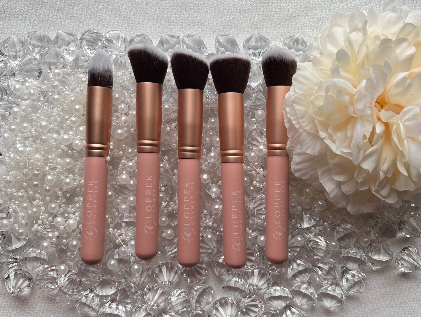 Loppek Cosmetic's 14 Piece Brush set w/bag
